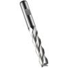 C273 1" HSS-E Multi Flute Flatted Shank Long Series End Mill - DIN 844L thumbnail-0