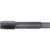 Machine Tap , 1/4in. x 19 BSPF, Spiral Point, High Speed Steel, Steam Tempered thumbnail-0