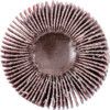 Flap Wheel, 339, 40 x 20mm, P60, Aluminium Oxide thumbnail-1