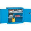 Storage Cabinet, 2 Doors, Blue, 1023 x 555 x 1000mm thumbnail-0