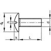 M8x120 SLOTTED MUSHROOM HEAD SCREW NF A2 thumbnail-2