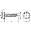 ST4.8x32mm HEX WASHER HEAD SELF-TAP SCREW BZP thumbnail-1