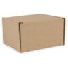 SMALL PARCEL POSTAL BOX C/W TUCKIN FLAPS 110MMX100MMX70MM (PK-50) thumbnail-0