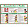 RESUSCITATION OF ADULTS SAFETY POSTER LAMINATED (590 X 420MM) thumbnail-0