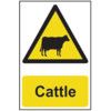 CATTLE - COREX (200 X 300MM) thumbnail-0