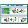 SAFETY POSTER - SOFT TISSUEINJURIES thumbnail-0