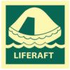 LIFERAFT - PHOTOLUM (150 X 150MM) thumbnail-0