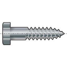 Hexagon Head Wood Screw -ST (Self Tapping) - A2 Stainless - DIN 571 thumbnail-0