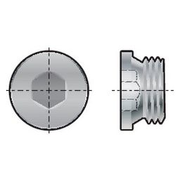 Pipe Socket Plugs, Metric - Fine - Parallel - Din 906 thumbnail-3