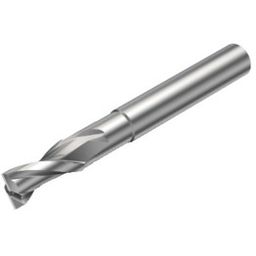 2P122 CoroMill Plura solid carbide end mill for Large chip Removal thumbnail-0