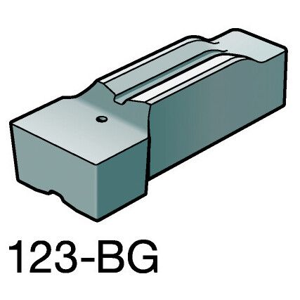 N123L1-1160-0002-BG INSERT GRADE H10F