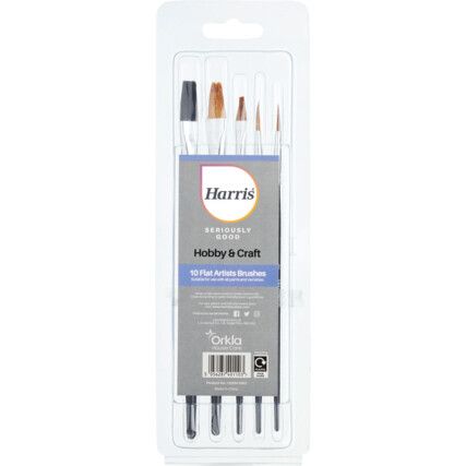 Artist Paint Brush Set, Flat (Pk-10)