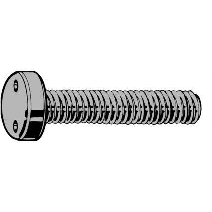 M3x12 SECURITY PAN HEAD SCREW 2-HOLES A2