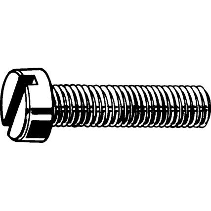 M4x20 SLOTTED CHEESE HEAD SCREW A4