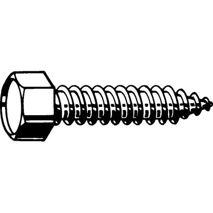 ST6.3x19mm HEX HEAD TAP SCREW BZP