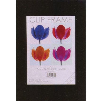 CF4259NG SIGNATURE FRAMELESS FRAME A2 STYRENE