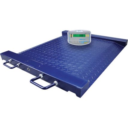 PTM 500+GK Drum and Wheelchair Platform Scale 500Kg with GK Indicator