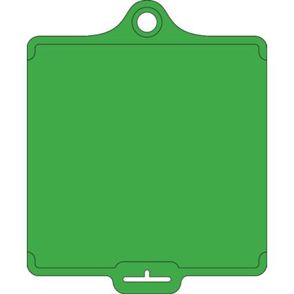 ASSETTAG FLEX MEDIUM - GREEN PLAIN NO PRINT (PK-10)