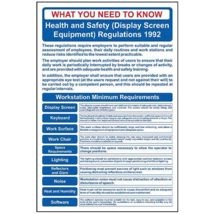 SAFETY POSTER: DSE REGULATIONS -RPVC (400 X 600MM)