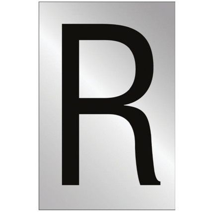 50MM POL. CHROME EFFECT -CHARACTER 'R'