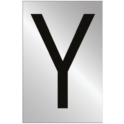 75MM POL. CHROME EFFECT -CHARACTER 'Y'