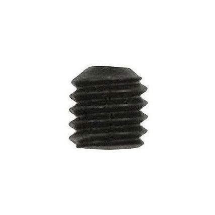 CA145075 SCREW