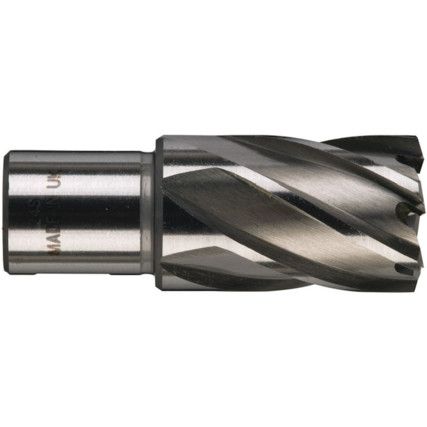 ANNULAR CUTTER (19mm WELDON SHANK) 30x30mm