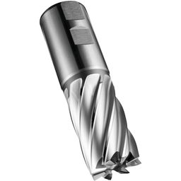 Series C247 HSS-E Multi Flute Flatted Shank End Mill - Metric  thumbnail-1