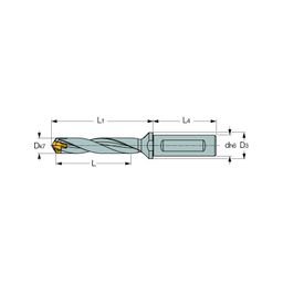 DCN A-5D Chamdrills thumbnail-1