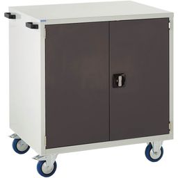 Mobile Euroslide Cupboard 1x750mm  thumbnail-1