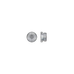 Pipe Socket Plugs, BSPP - Parallel - G Series - A2 Stainless thumbnail-2