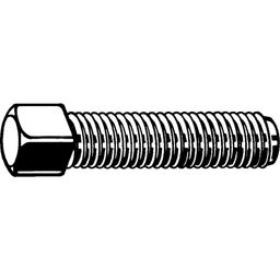 Square Head Bolt, Metric - Steel - Grade 8.8 - Dog Point - DIN 479 thumbnail-2