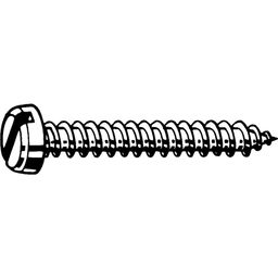 Self Tapping Screw, Metric - A2 Stainless Steel - Slotted Pan Head - DIN 7971C thumbnail-0