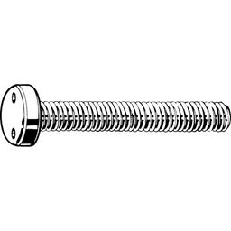 Security Pan Head Screw With 2 Holes - Stainless Steel A2 - Metric  thumbnail-1