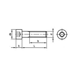 Socket Head Cap Screw TX Hexalobular, Metric - A2 Stainless - Grade 50 - ISO 14579 thumbnail-1