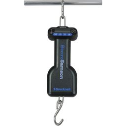 Digital Hanging Scales thumbnail-0